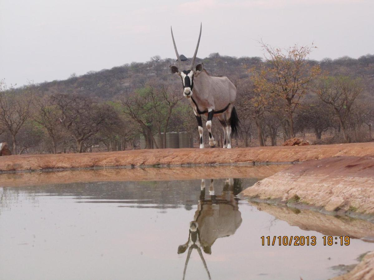 Okutala Etosha Lodge Outjo Exterior photo